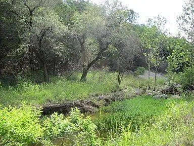 350 Bluff Rd, Spicewood, TX 78669 - #1