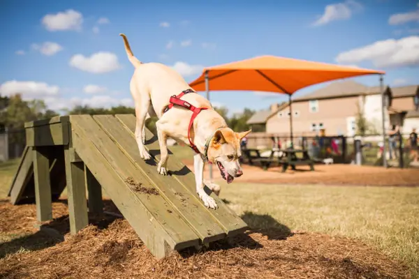 138 Pima Ct, Liberty Hill, TX 78642