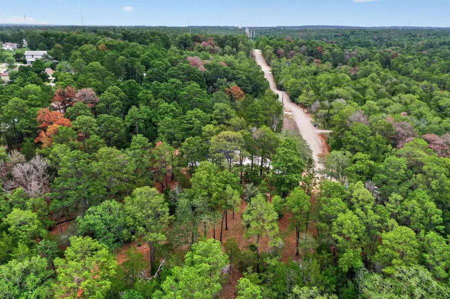 190 Molokini Dr, Bastrop, TX 78602 - #3