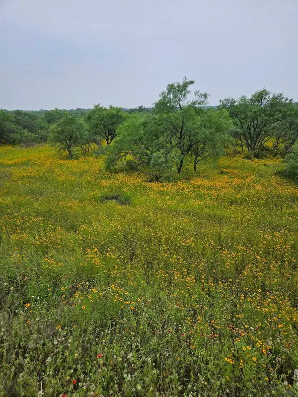 6990 County Road 246, Richland Springs, TX 76871