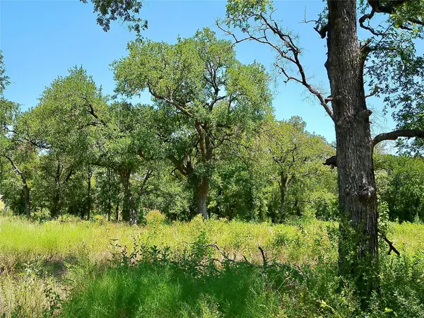 216 Serenity Dr, Liberty Hill, TX 78642