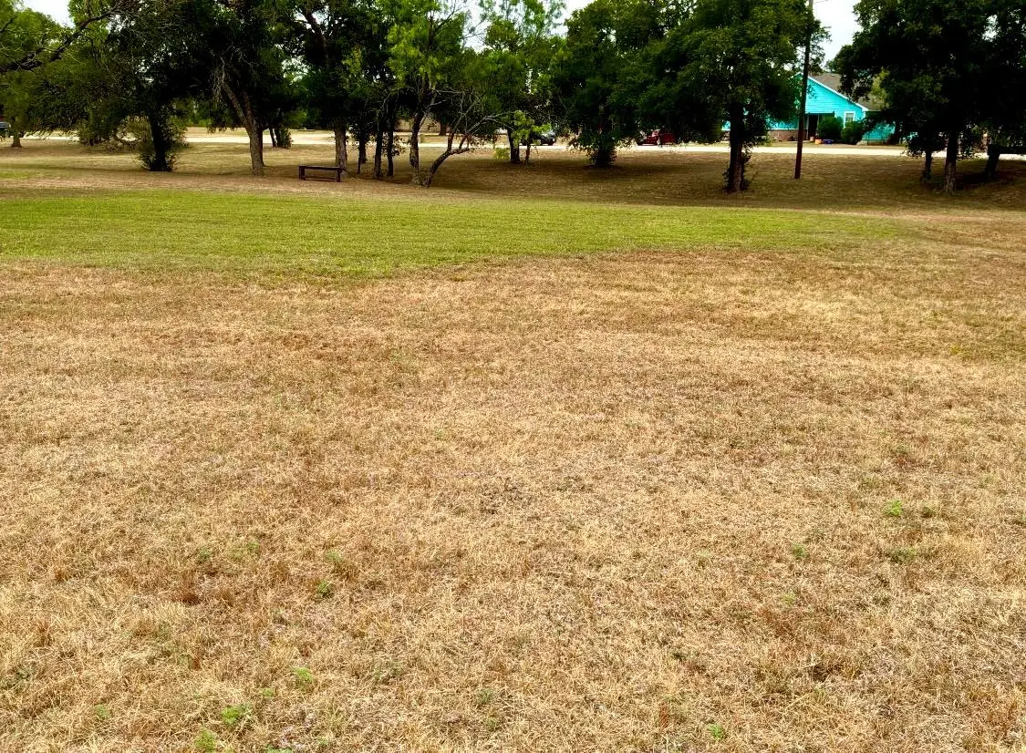 205 Promise Ln, Burnet, TX 78611 - #1