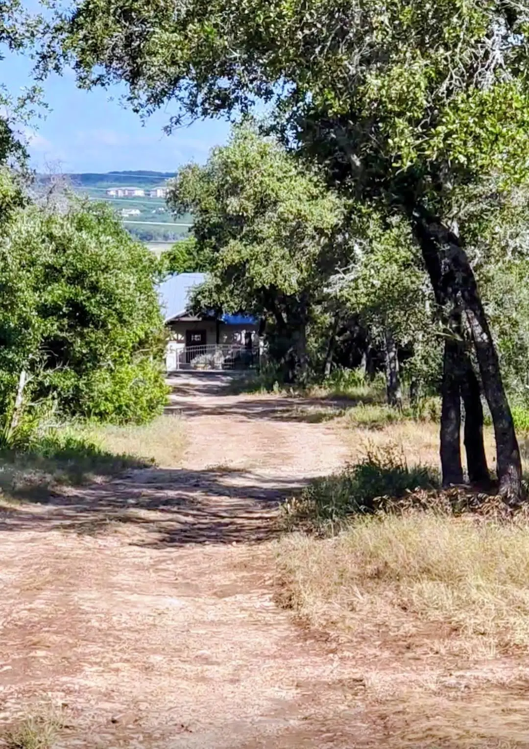 15901 Buddy Ave, Volente, TX 78641 - #1