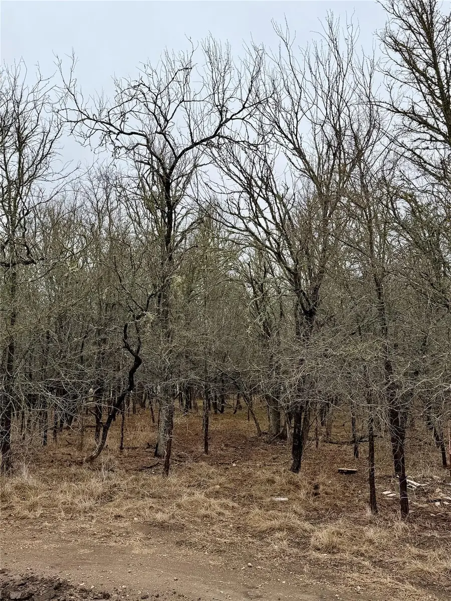 140 W Pauwela Ln, Bastrop, TX 78602 - Image #3