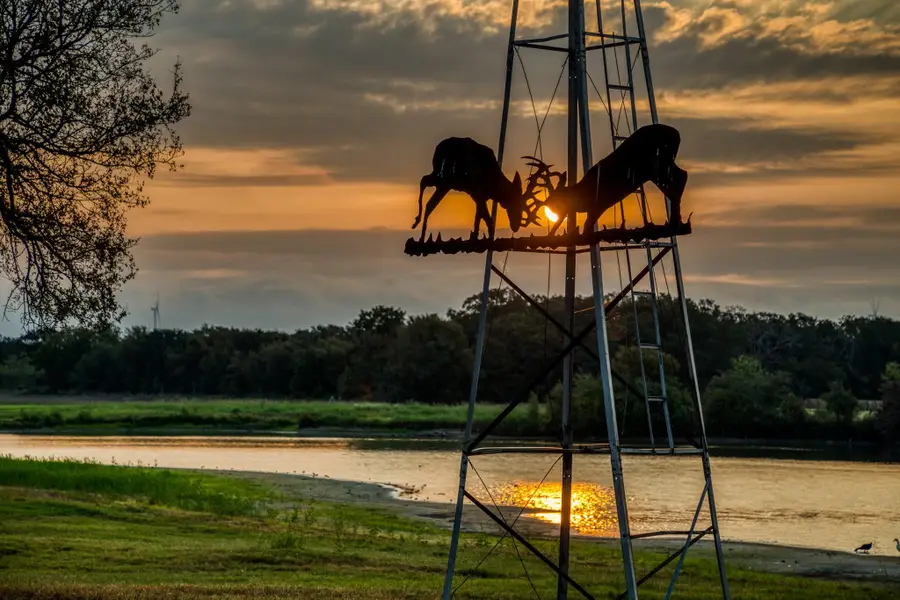 3096 Happy Swaner Ln, Axtell, TX 76624 - #3