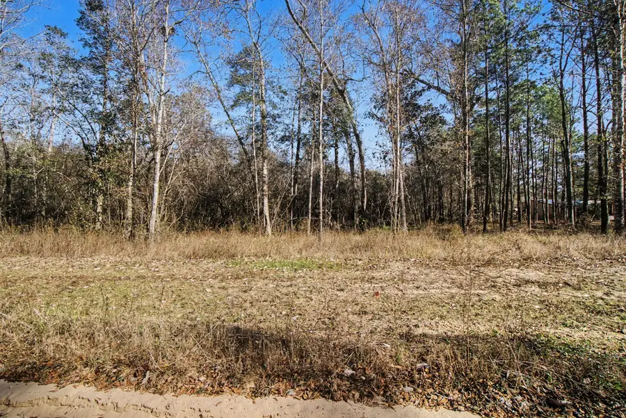 Tract 69 Northcrest Dr, Livingston, TX 77351 - Image #2
