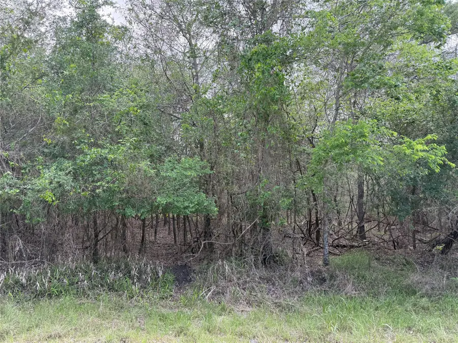 305 Nene Ln, Bastrop, TX 78602 - #3