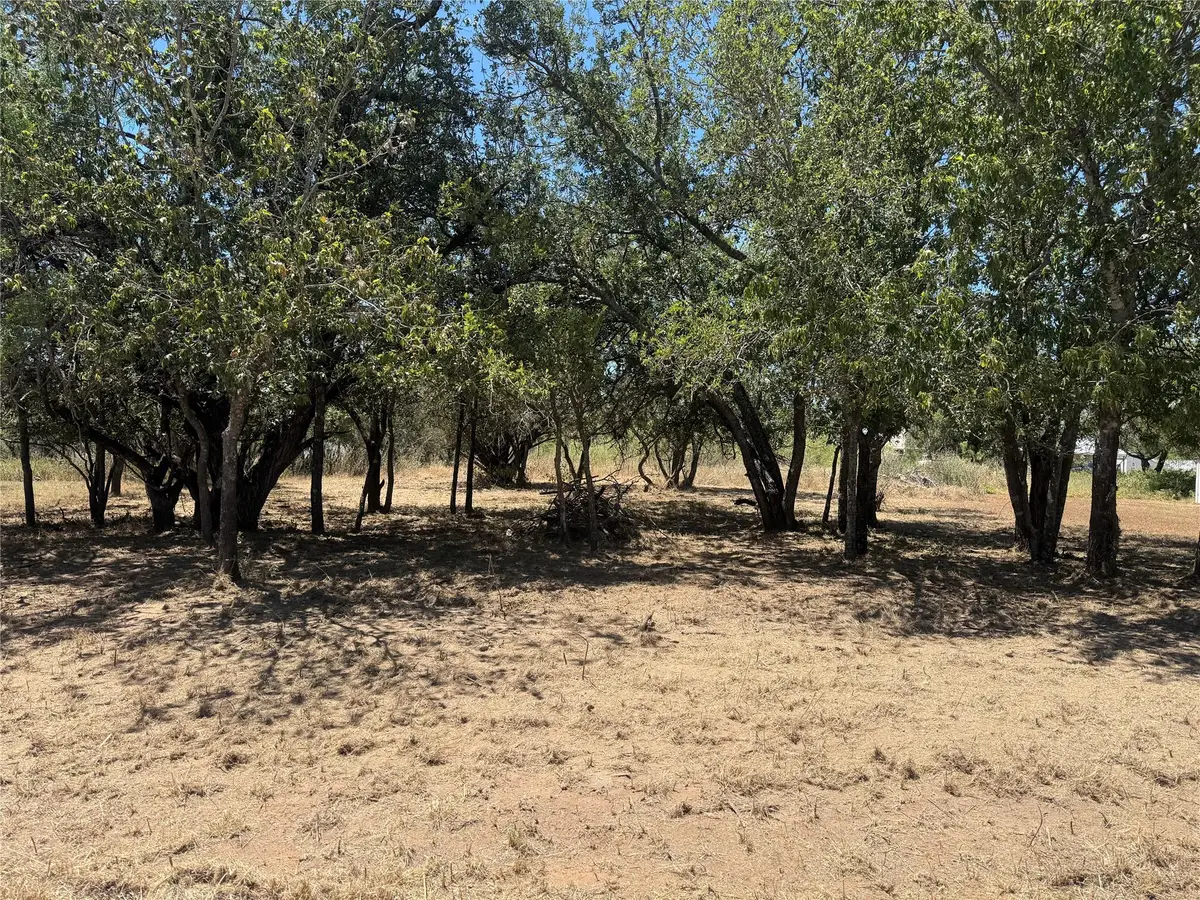 Lot #494 Driftwood Ln, Cottonwood Shores, TX 78657 - #1