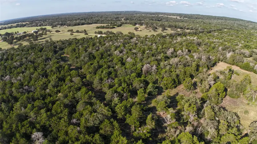 000 Charles Burnes Ln, Rosanky, TX 78953 - #3