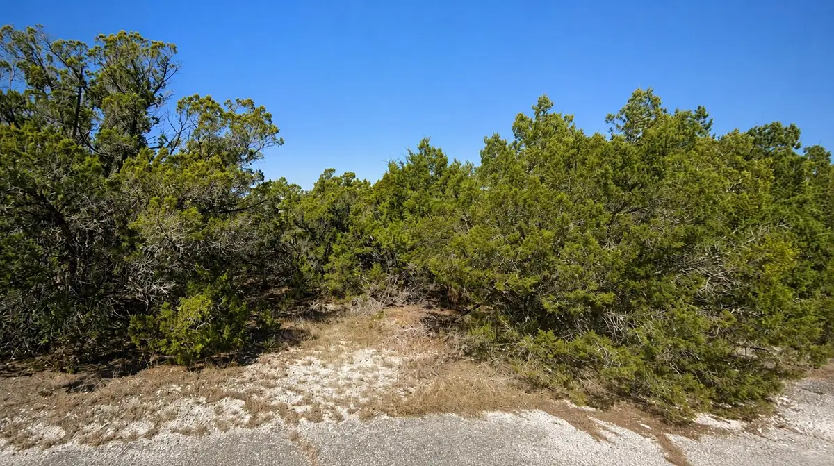 8404 Angus Trl, Leander, TX 78645 - #1