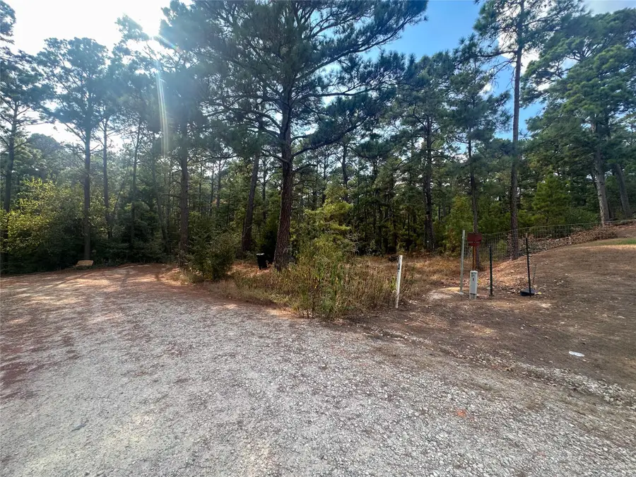 TBD S Hill Ridge Dr, Bastrop, TX 78602 - Image #3