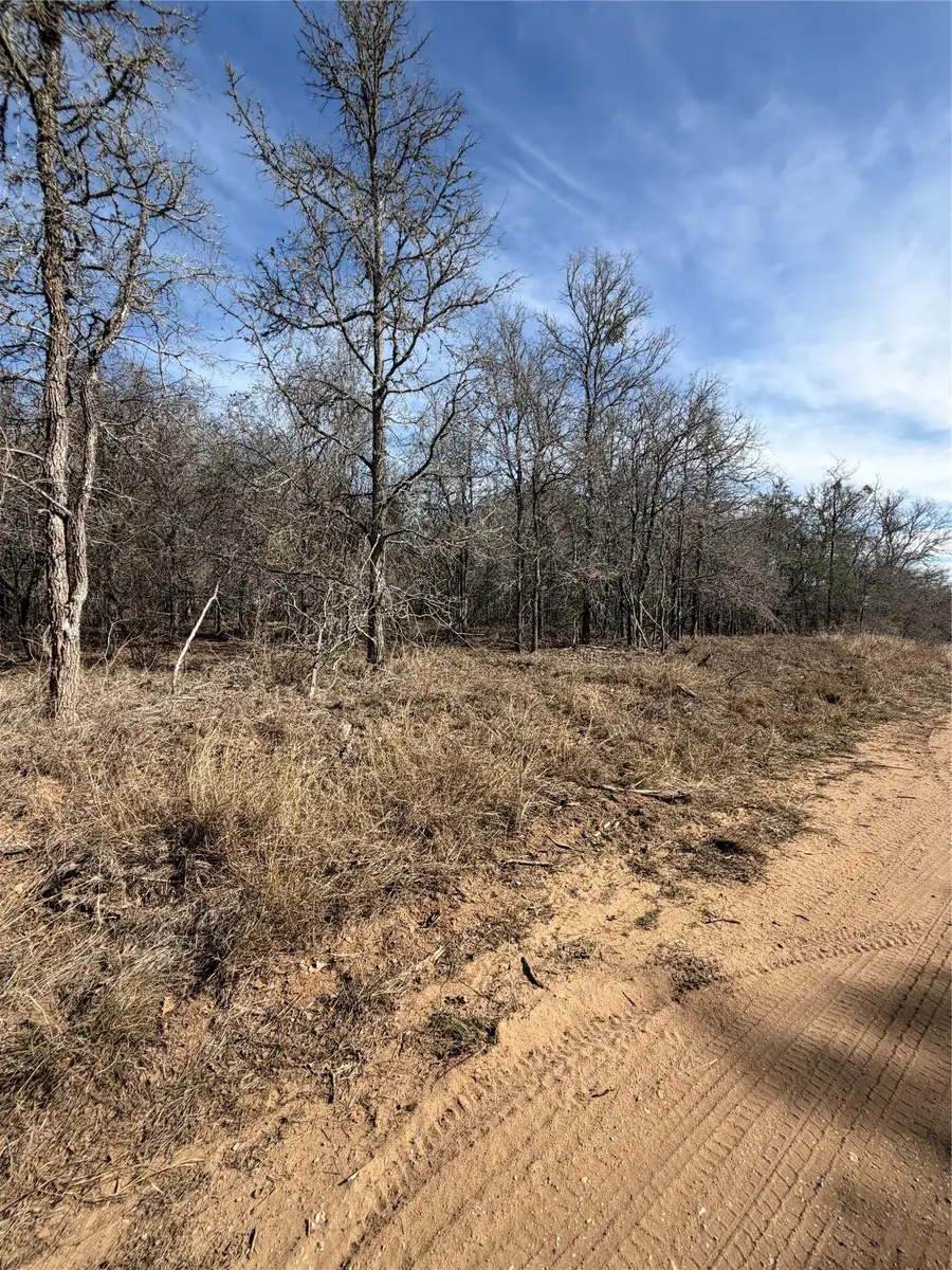 Lots 1006 and 1007 Diamond Head Dr, Bastrop, TX 78602 - Image #3