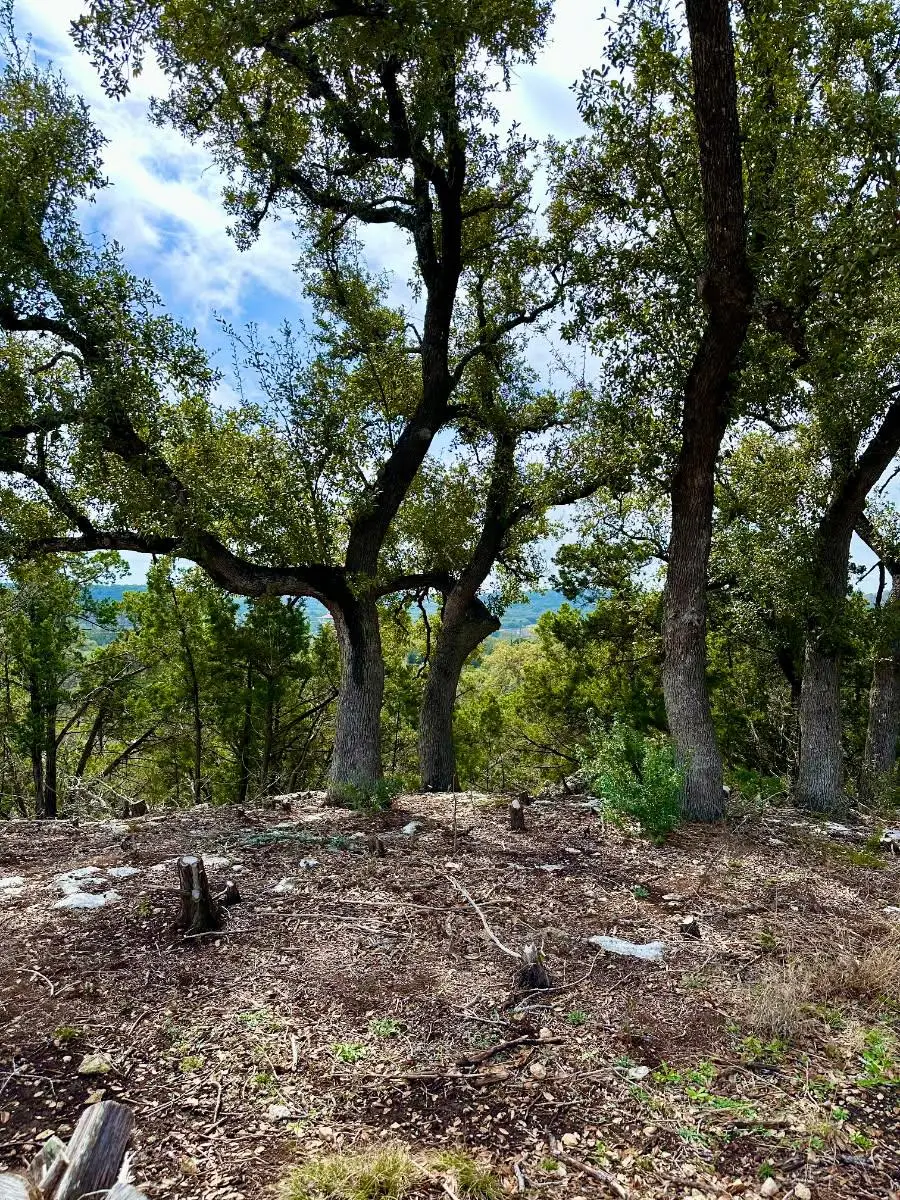 795 Cimarron, Spring Branch, TX 78070 - #2