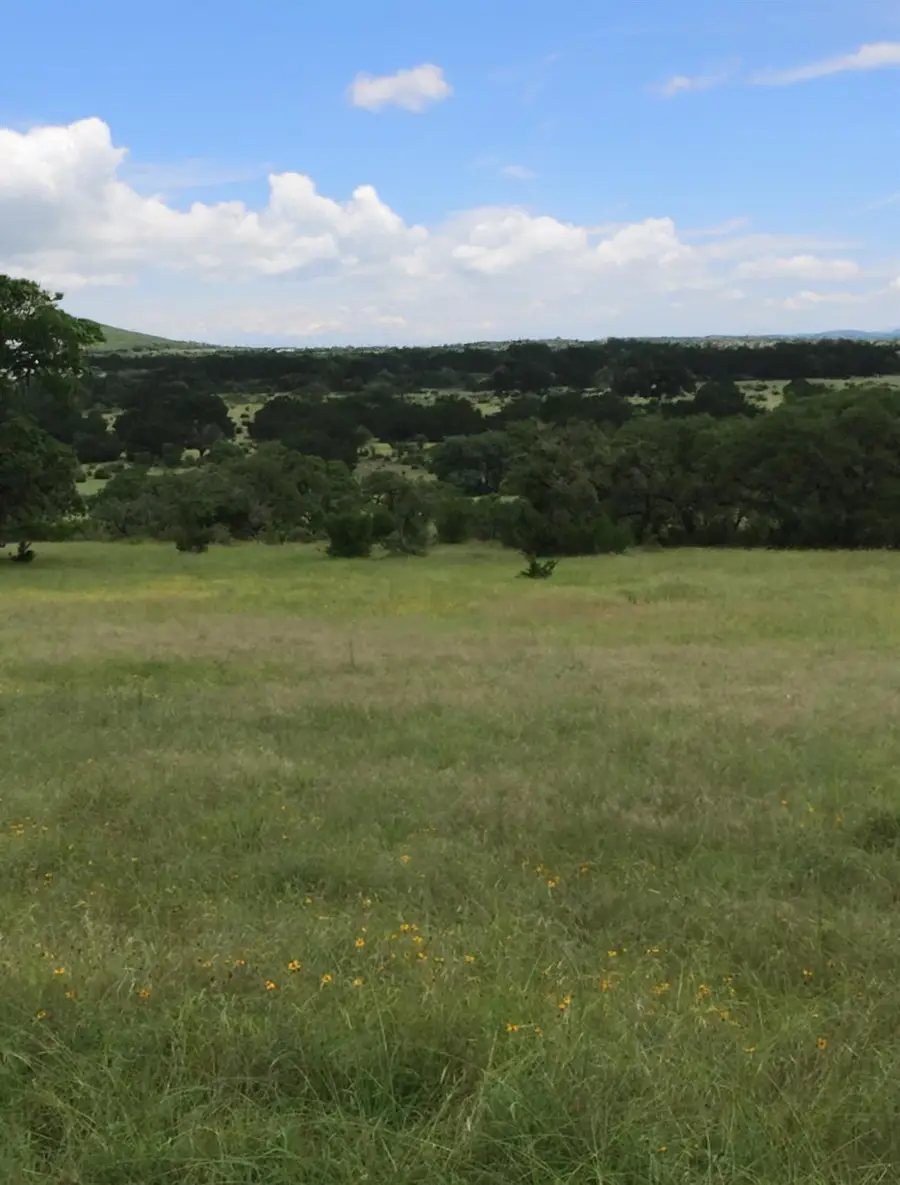 184 Moondance Trl, Wimberley, TX 78676 - #3