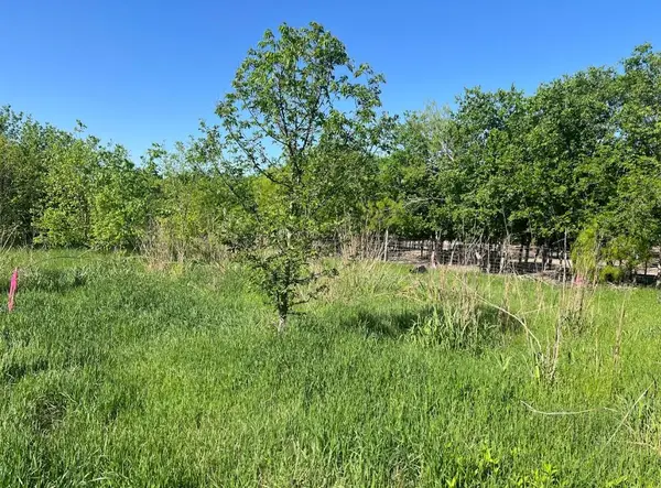 W Brook St(Lot #2, Bk 72) W Brook St, Bartlett, TX 76511