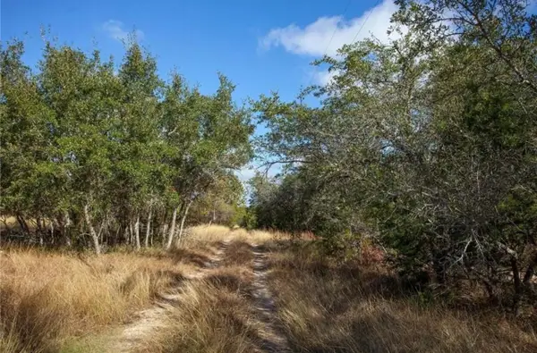 525 Nameless Rd, Driftwood, TX 78619