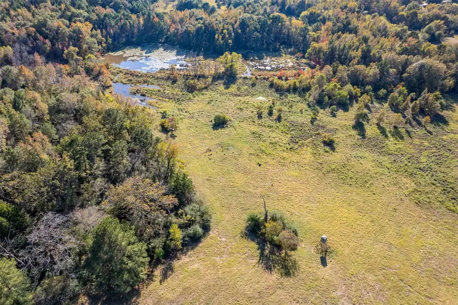 380 An County Road 370, Palestine, TX 75801 - Image #2