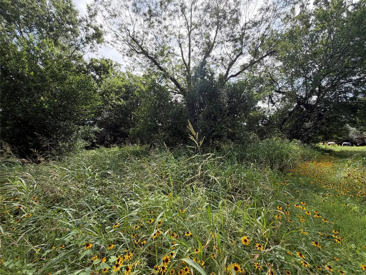 305 Ross St, Smithville, TX 78957 - #1