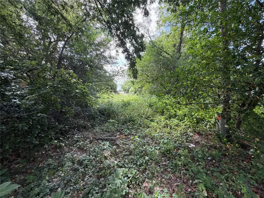 305 Ross St, Smithville, TX 78957 - #2