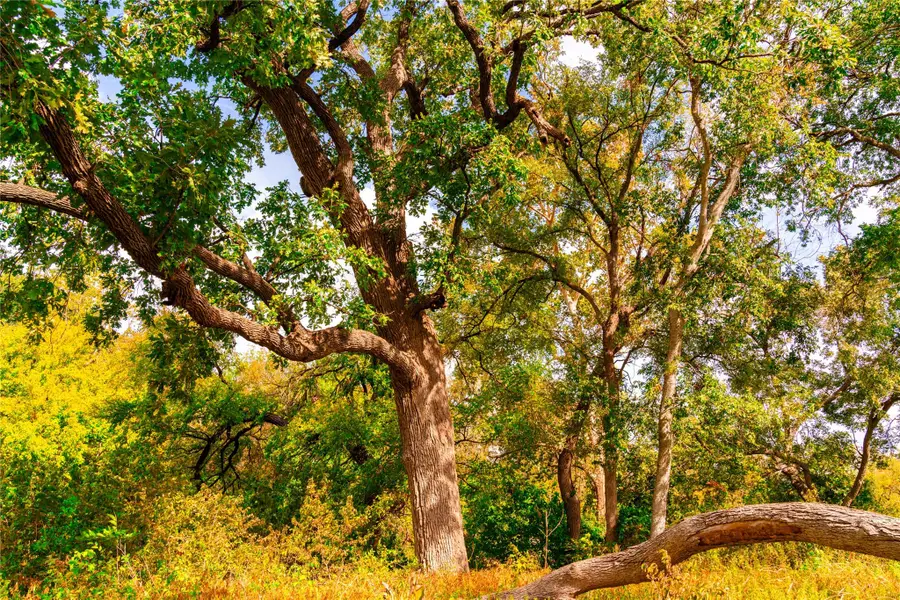 159 Brushy Creek Trl, Hutto, TX 78634 - Image #2