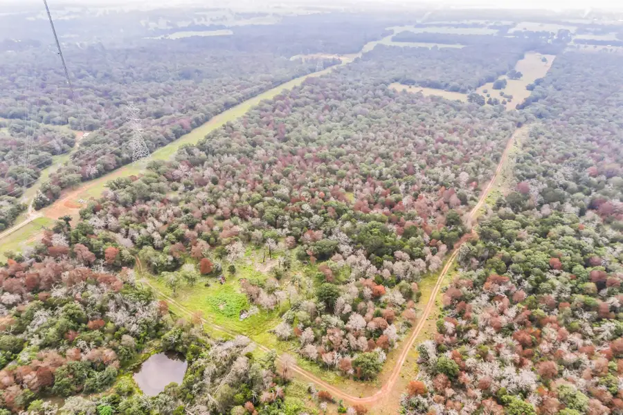 1360 Sand Hills Rd #A, Red Rock, TX 78662 - #3