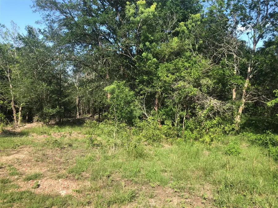 13414 Elm Grove Rd, Buda, TX 78610 - #2