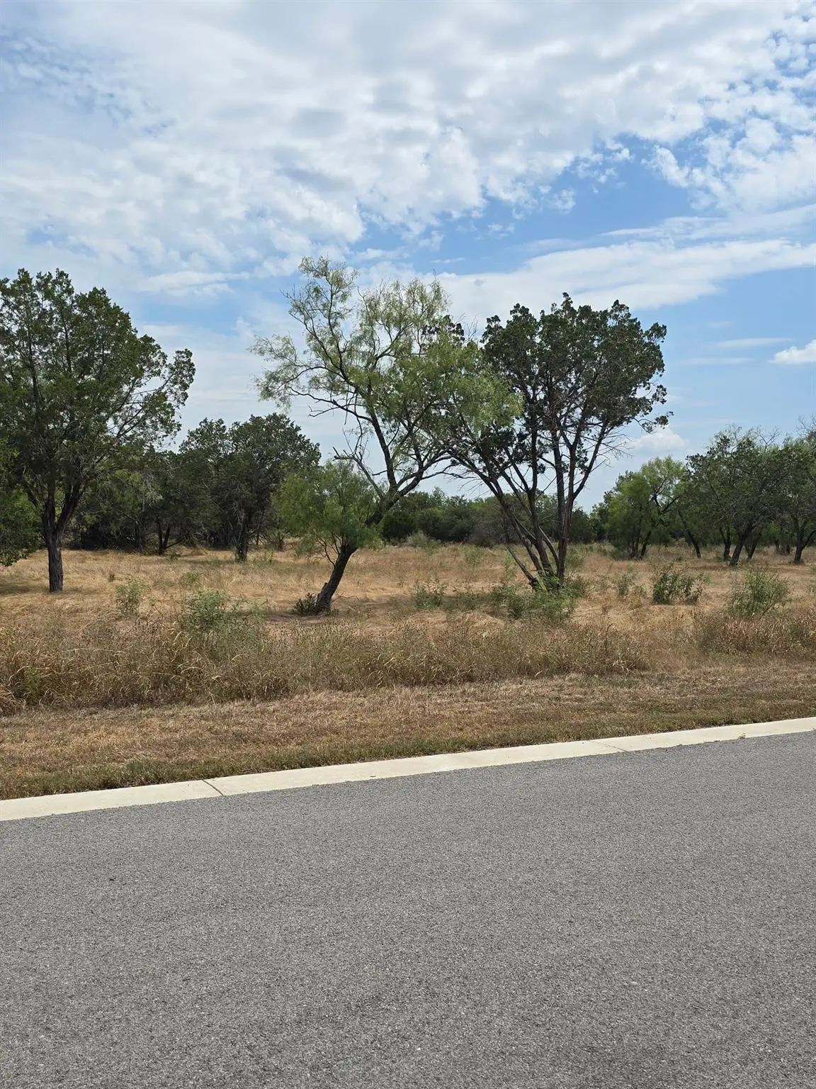 Lot 51 Landings Way, Spicewood, TX 78669 - #1