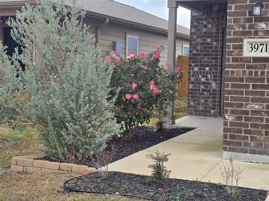 3971 Turtle Crk, New Braunfels, TX 78132 - #2