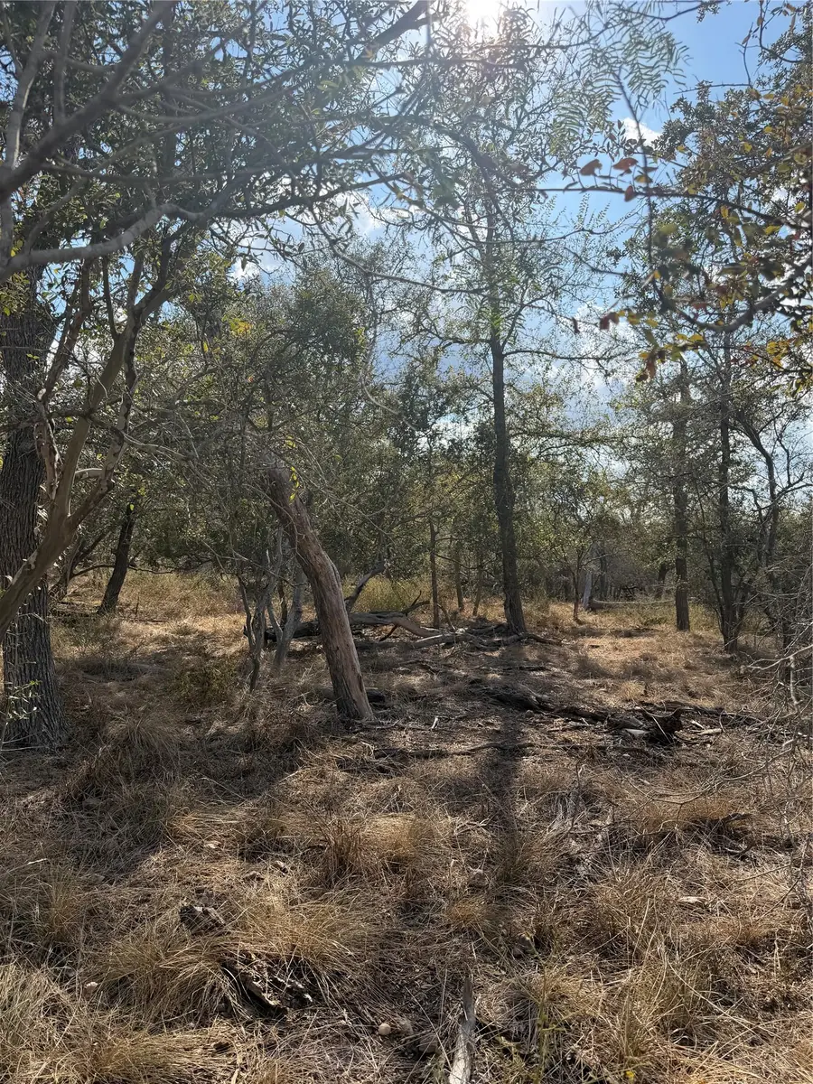 Lot 539 Kaaawa Ln, Bastrop, TX 78602 - #2