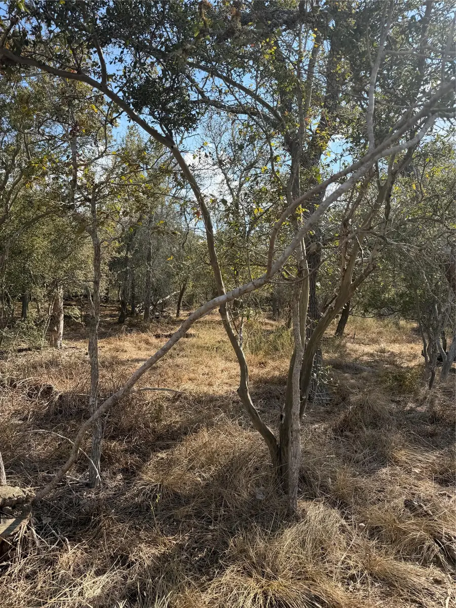 Lot 539 Kaaawa Ln, Bastrop, TX 78602 - #3