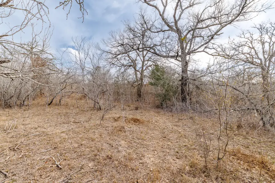 TBD County Road 424, Waelder, TX 78959 - #2