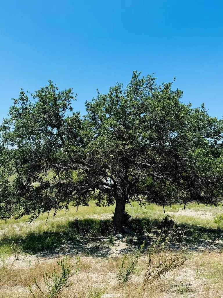 Lot 3 Oakwater Dr, Fredericksburg, TX 78624 - #3