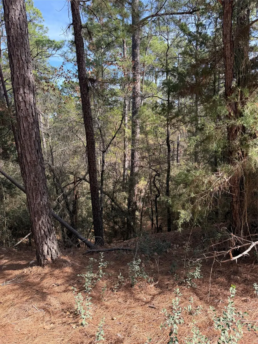 Lot 266 Wainee Dr, Bastrop, TX 78602 - #3