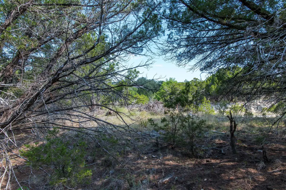 20011 Colonial Ln, Lago Vista, TX 78645 - #1