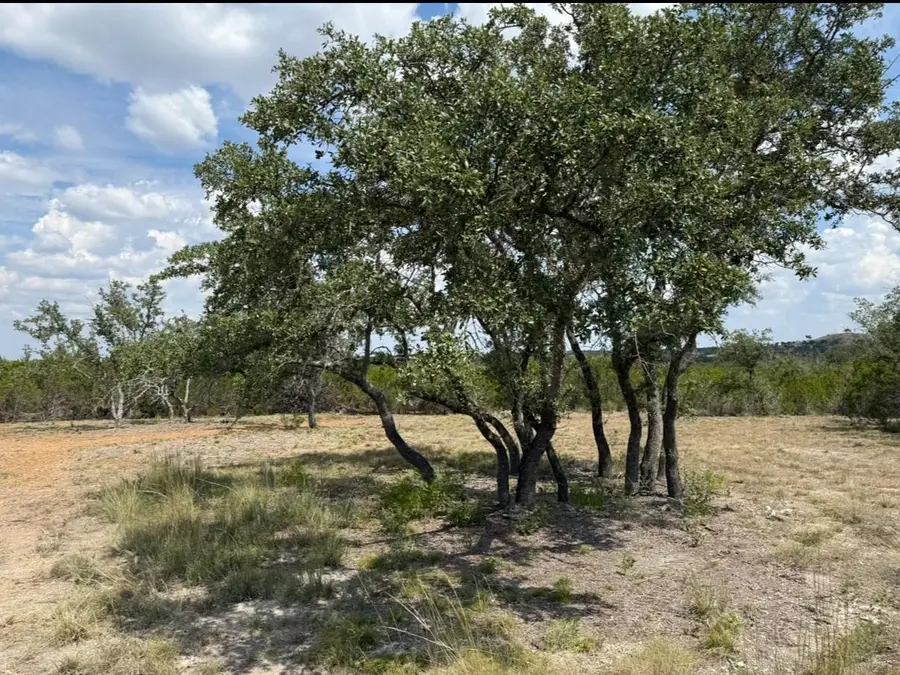 Lot 36 - 6.65 Acres - Round Mountain Reserve Dr, Round Mountain, TX 78663 - #3