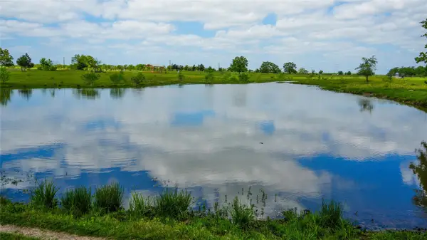 8770 Lee Ln, Madisonville, TX 77872