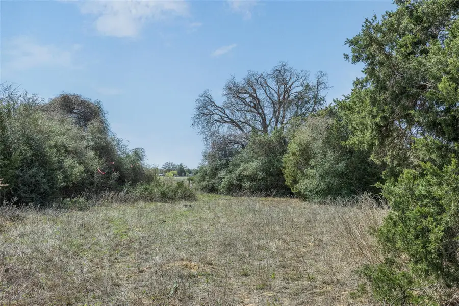 Tract 3 Waugh Way, Bastrop, TX 78602 - #3