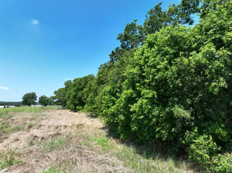 Lot 1 Cr 142 Rd, Cameron, TX 76520 - #3