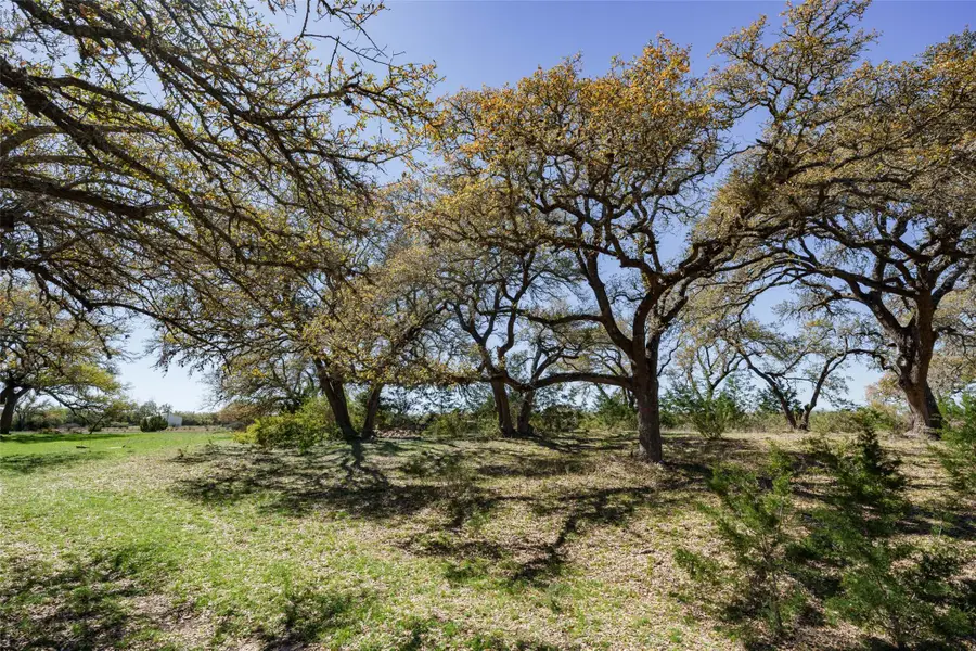 1440 Stone Ridge Mountain Dr, Round Mountain, TX 78663 - #3
