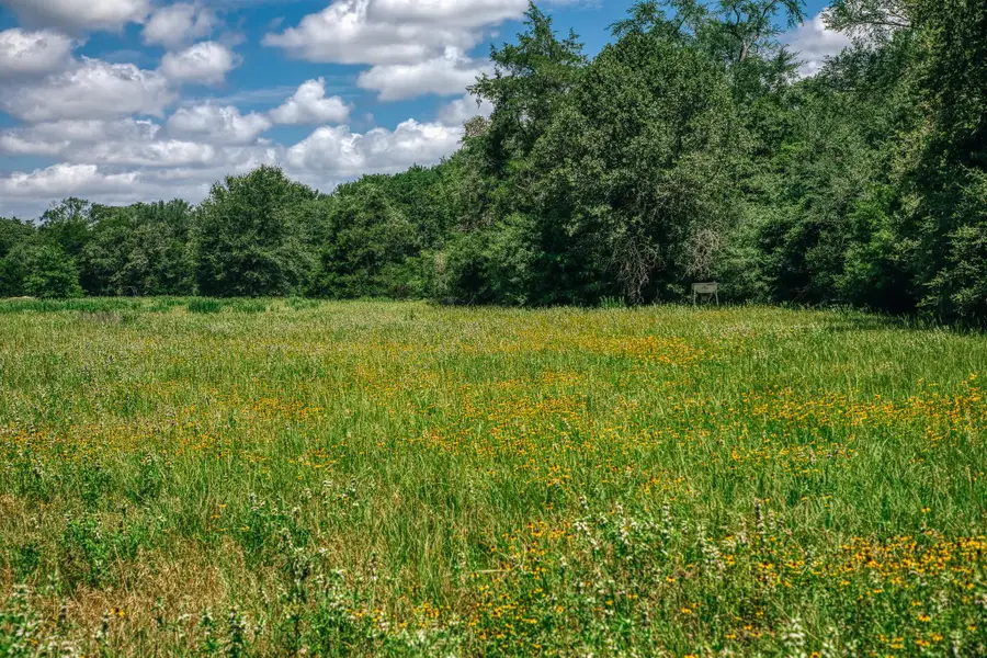9713 County Road 316, Caldwell, TX 77836 - #2