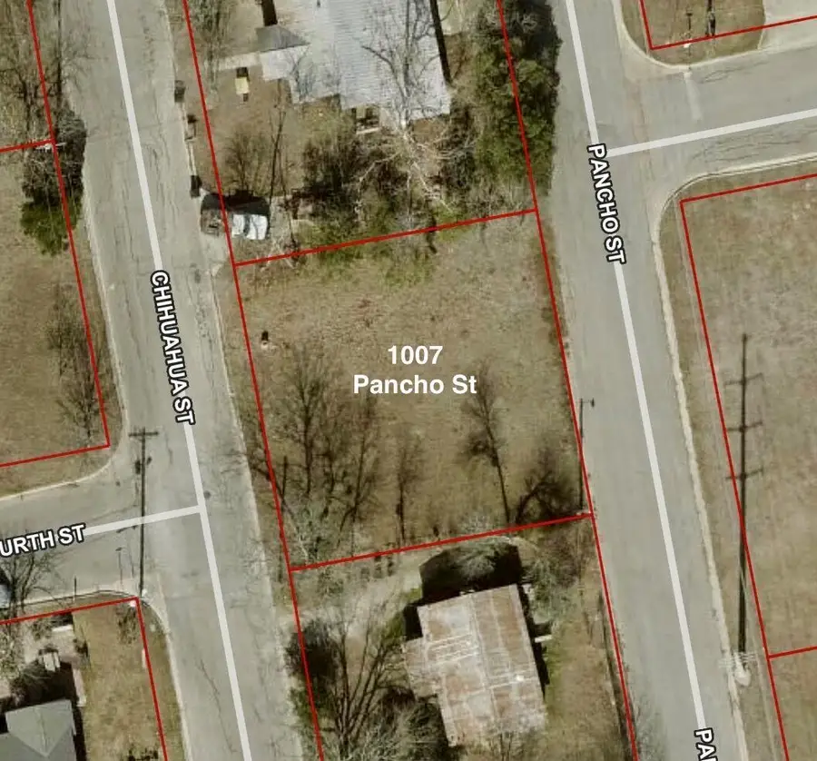 1007 Pancho St, Lockhart, TX 78644 - #2