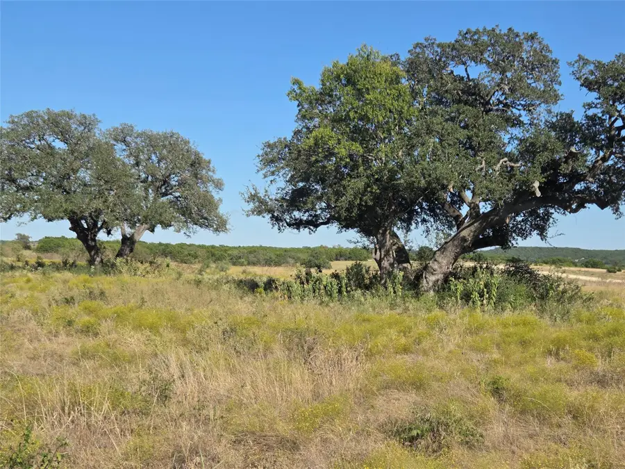 280 Waterbuck Way, Jonesboro, TX 76538 - Image #3