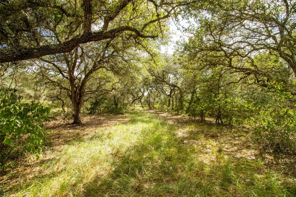 000 County Road 15, Hallettsville, TX 77964 - #1