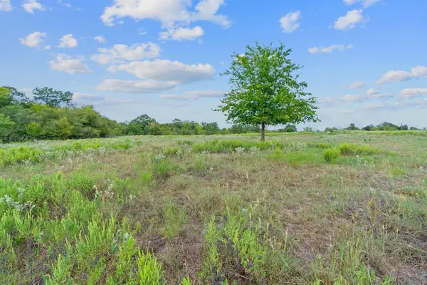 Lot 6 Private Road 4511, Waelder, TX 78959