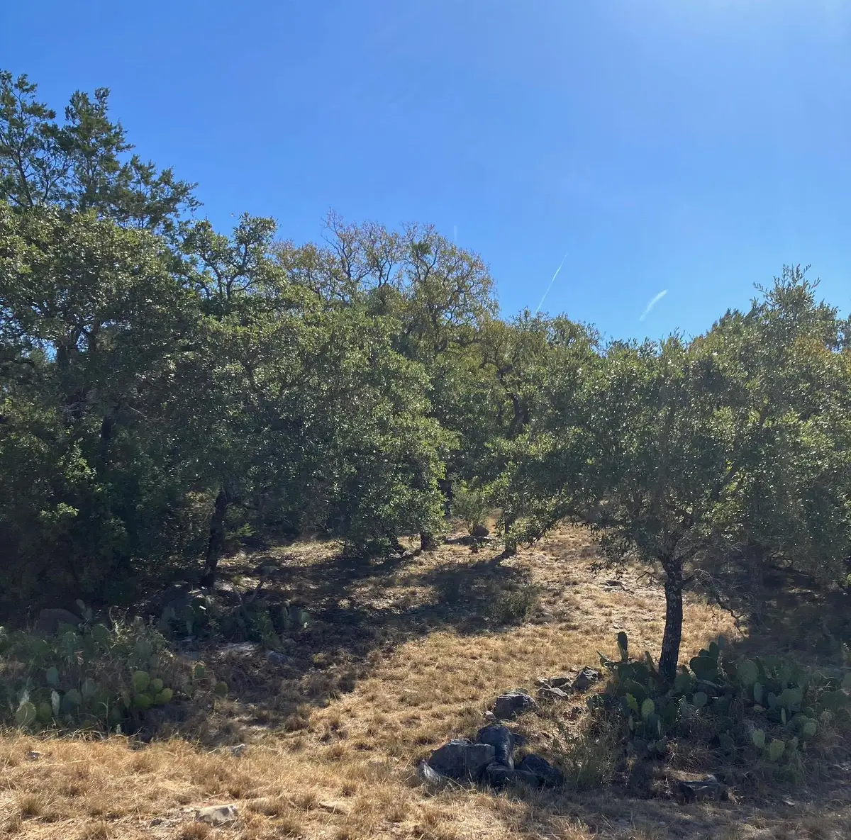 405 Yucca At Quick Draw, Horseshoe Bay, TX 78657 - Image #1