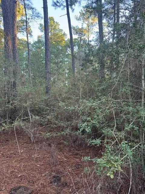 103 Lake Point Way, Bastrop, TX 78602 - #3