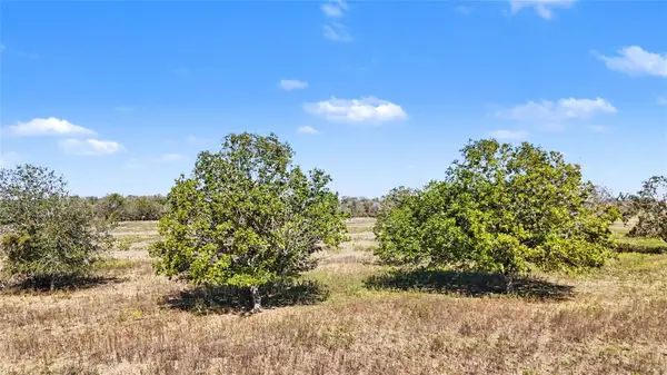 Tract 3 Fm 3158, Dale, TX 78616