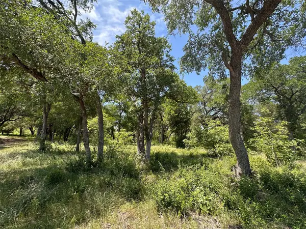 100 Serenity Dr, Liberty Hill, TX 78642