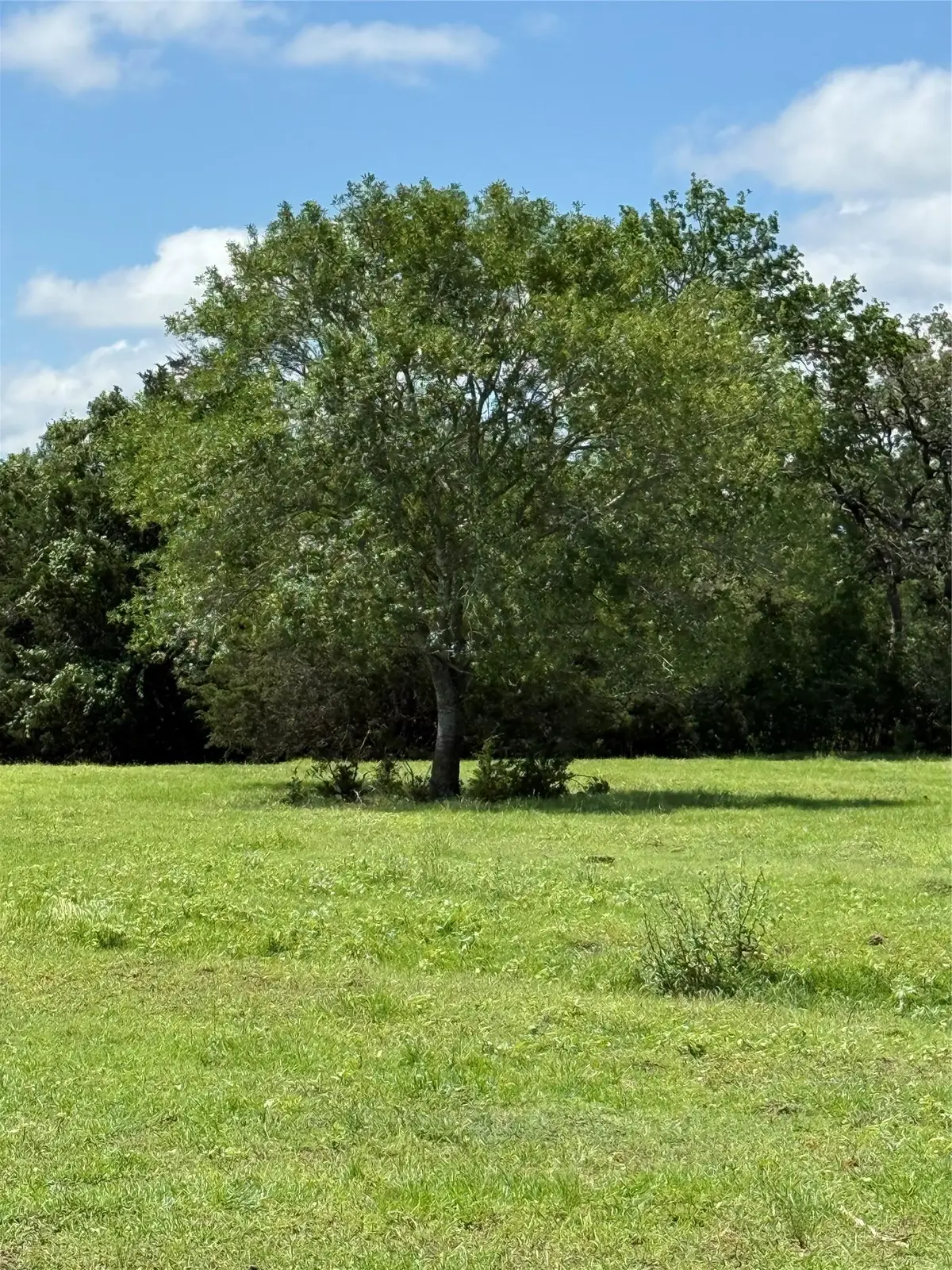 1749 Fm 535, Smithville, TX 78957 - #1