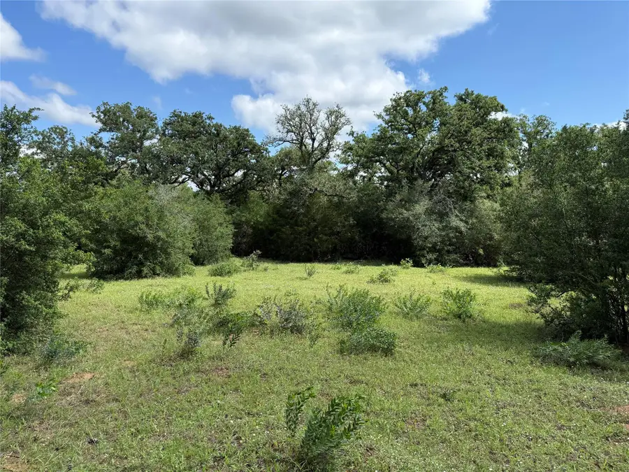 1749 Fm 535, Smithville, TX 78957 - #3